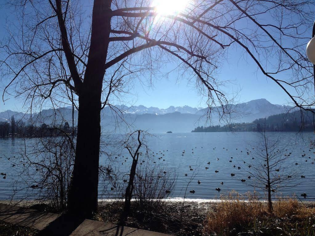 Villa Maria Luzern Dış mekan fotoğraf